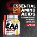 NUTREND EAA MEGA STRONG POWDER 300 g – Zboží Dáma