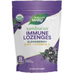 Nature's Way Sambucus Immune Organic Lozenge 24 tablet – Hledejceny.cz
