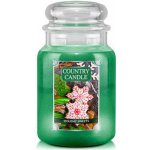 Country Candle Holiday Sweets 652 g – Zbozi.Blesk.cz