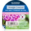 Vonný vosk Yankee Candle Wild Orchid vonný vosk do aromalampy 22 g