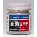 Mr. Dissolved Putty tekutý tmel 40g