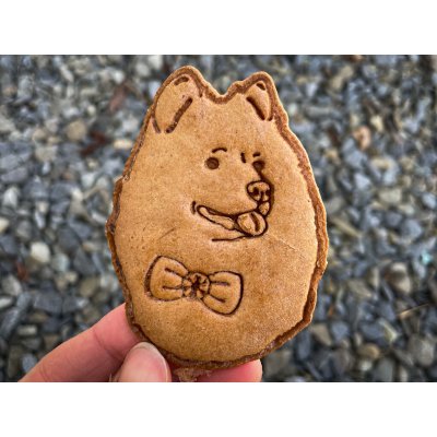 TVOŘÍTKO Samojed I - vykrajovátko – Hledejceny.cz