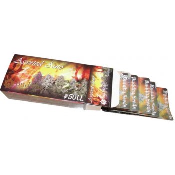 Buddha Seeds Assorted Auto semena neobsahují THC 10 ks