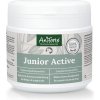 Vitamíny pro psa AniForte Junior Active prášek pro štěnata a mladé psy 250 g