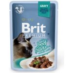 Brit cat Premium Fillets jelly Beef 85 g – Zboží Mobilmania