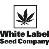 Semena konopí White Label White Widow semena neobsahují THC 3 ks