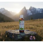 Dr. Popov Topol černý 50 ml – Hledejceny.cz