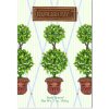 Vonný sáček Fresh Scents Willowbrook vonný sáček Round Topiary 115 ml