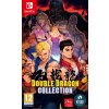 Hra na Nintendo Switch Double Dragon Collection