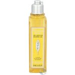 L'Occitane Verveine Agrumes sprchový gel 250 ml – Zboží Dáma