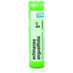 ECHINACEA ANGUSTIFOLIA POR 5CH GRA 1X4G – Hledejceny.cz
