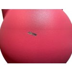 TRUESTEEL StrongGear ocel 32 kg – Zboží Mobilmania