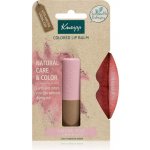 Kneipp Barevný balzám na rty Natural Rosé 3,5 g – Zbozi.Blesk.cz