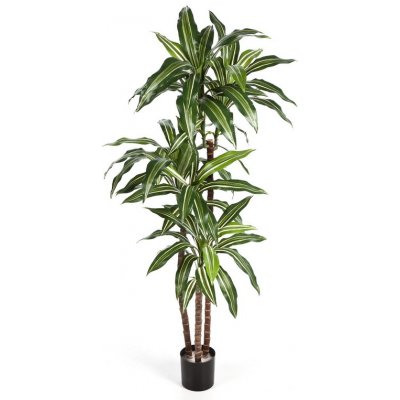 Umělá palma Dracena FRAGRANS deluxe pestrá, 120cm – Hledejceny.cz