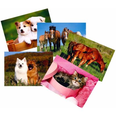 Mezuza Pohlednice S-384 Zvířátka mix ,balení 50 ks 563805 – Zboží Mobilmania