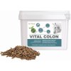 Vitamín pro koně Dromy Vital Colon 3,3 kg