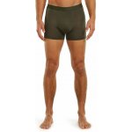 Icebreaker Mens 125 Cool-Lite Anatomica Trunks – Zboží Mobilmania