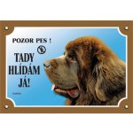 Dafiko Tabulka Novofundlanský pes hnědý – Hledejceny.cz