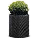 Keter 229123 květináč – Hledejceny.cz