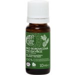 Tierra Verde Silice Borovicová pryskyřice BIO 10 ml – Zboží Mobilmania