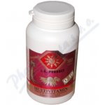 Multivitamin minerál + Ženšen + Echinacea + Koenzym Q10 100 tablet – Hledejceny.cz