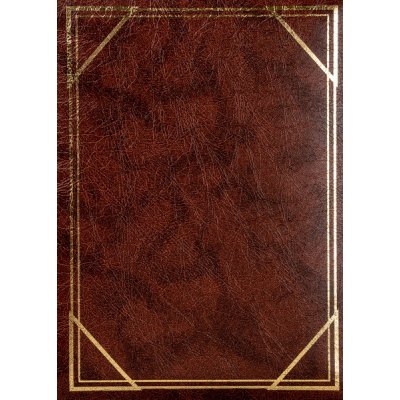 Fotoalbum 10x15 pro 300 fotek Vinyl hnědý 2UP – Hledejceny.cz