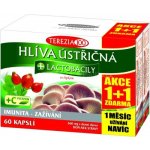 Terezia Company Hlíva ústřičná s lactobacily 120 tablet – Hledejceny.cz