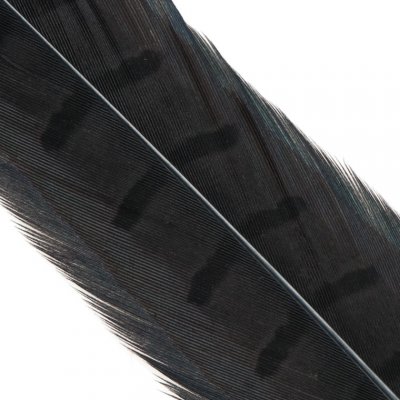 Hends Ocasní Pero z Bažanta Pheasant Tail Black – Zboží Mobilmania