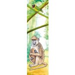 Akim 3D záložka do knihy safari pavián 21 cm - 1 kus – Hledejceny.cz