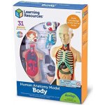 Learning Resources Anatomický model lidského těla – Zboží Mobilmania