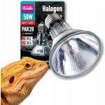 Arcadia Halogen Sun Basking Spot 50 W – Hledejceny.cz