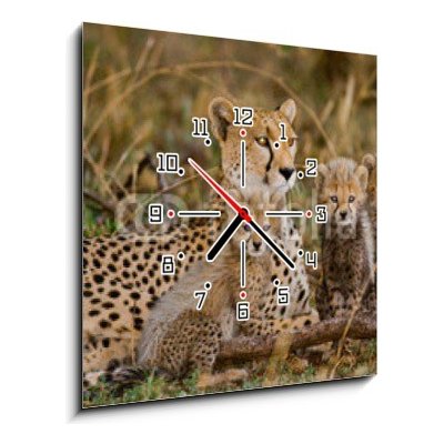 Obraz s hodinami 1D - 50 x 50 cm - Mother cheetah and her cubs in the savannah. Kenya. Tanzania. Africa. National Park. Serengeti. Maasai Mara. An excellent illustration