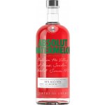 Absolut Watermelon 38% 0,7 l (holá láhev) – Hledejceny.cz