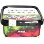 Craftium Nova Fejioa 200 g – Zboží Mobilmania