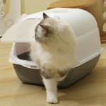 ProPet Toaleta krytá s filtrem a dvířky 50 x 37 x 34 cm – Zboží Dáma