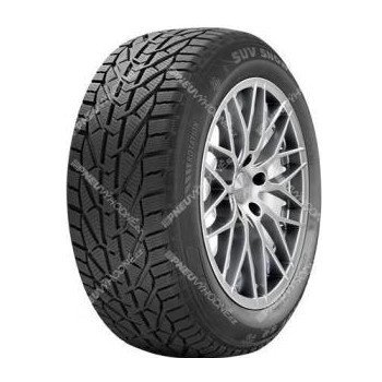 Riken Snow 225/55 R16 95H