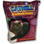 Catwill Multi Cat pack 3,3 kg – Zboží Mobilmania