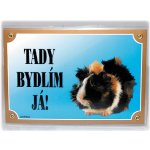 Dafiko Tabulka morče – Zboží Dáma