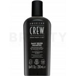 American Crew Daily Silver Shampoo 250 ml – Hledejceny.cz