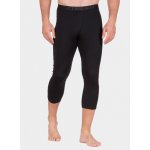 Icebreaker Mens 200 Oasis Legless – Zboží Dáma