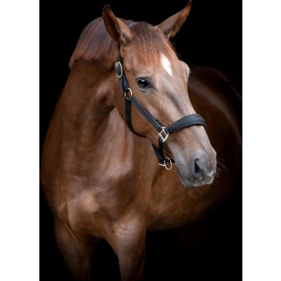Horse Ohlávka Diya Guard černá – Zboží Dáma