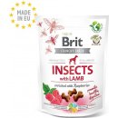 Pamlsek pro psa Brit Care Dog Crunchy Cracker Insects with Lamb enriched with Raspberries 200 g