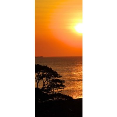 WEBLUX 34569469 Samolepka na dveře fólie tramonto do slunka západu slunce červeň rozměry 90 x 220 cm – Zbozi.Blesk.cz