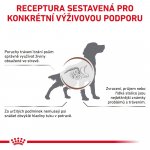 Royal Canin Veterinary Diet Dog Gastrointestinal Low Fat 6 kg – Hledejceny.cz