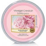 Yankee Candle Easy MeltCup vonný vosk Blush Bouquet 61 g – Zbozi.Blesk.cz