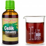 Bylinné kapky Pavlovy bylinné kapky Celík kanadský zlatobýl kanadský tinktura 50 ml – Hledejceny.cz