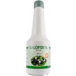 Calcifostil Oral Gel 480 ml – Zboží Dáma Calcifostil Oral Gel 480 ml – Zboží Dáma