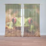 Sablio Záclony Zelená žába: 2ks 150x250cm – Hledejceny.cz