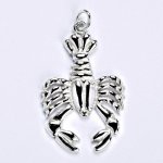 Čištín Zlatý přívěsek, znamení zvěrokruhu rak P 941 – Zboží Dáma