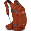 Osprey Raptor 14l black